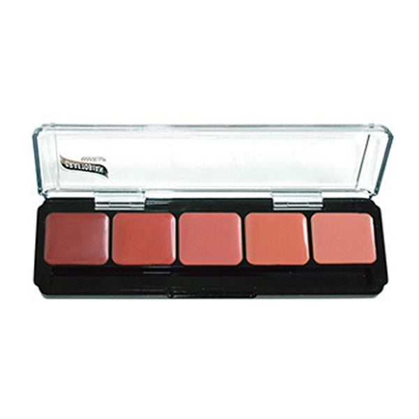 HD Blush Palette