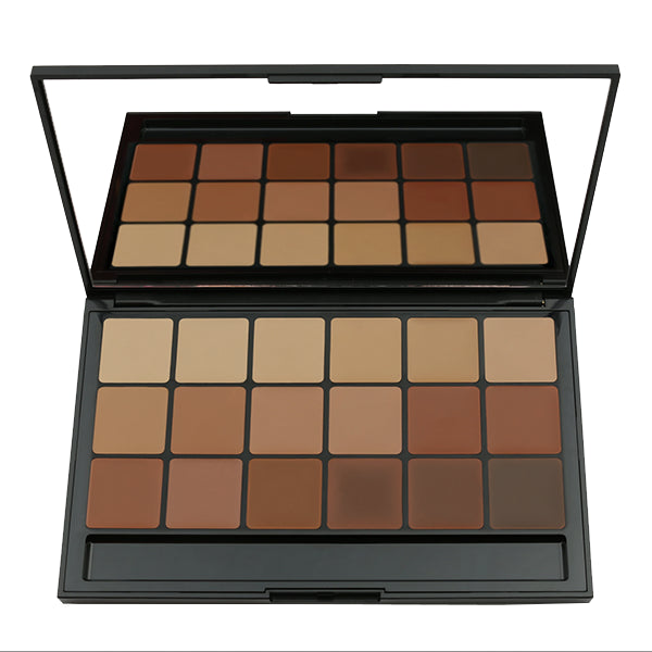 Color Process Foundation Palette VK 10